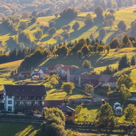 Casa Bradet Konuk evi Întorsura Buzăului Dış mekan fotoğraf