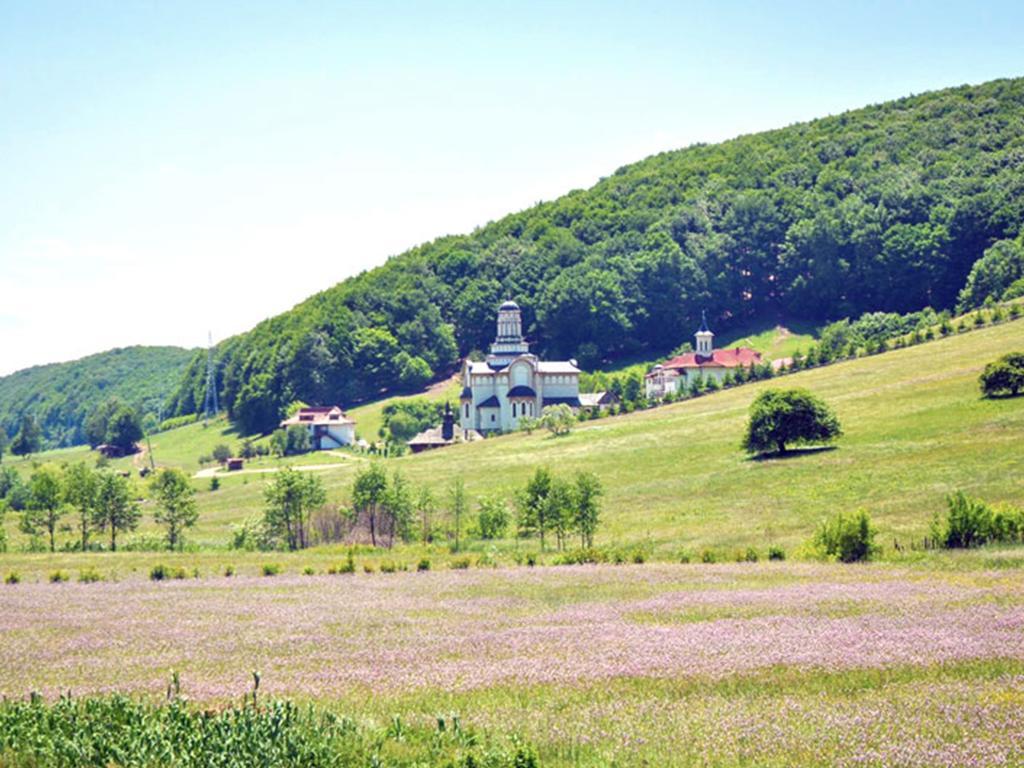 Casa Bradet Konuk evi Întorsura Buzăului Dış mekan fotoğraf