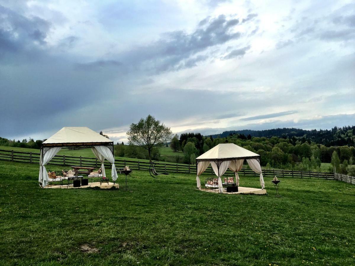 Casa Bradet Konuk evi Întorsura Buzăului Dış mekan fotoğraf