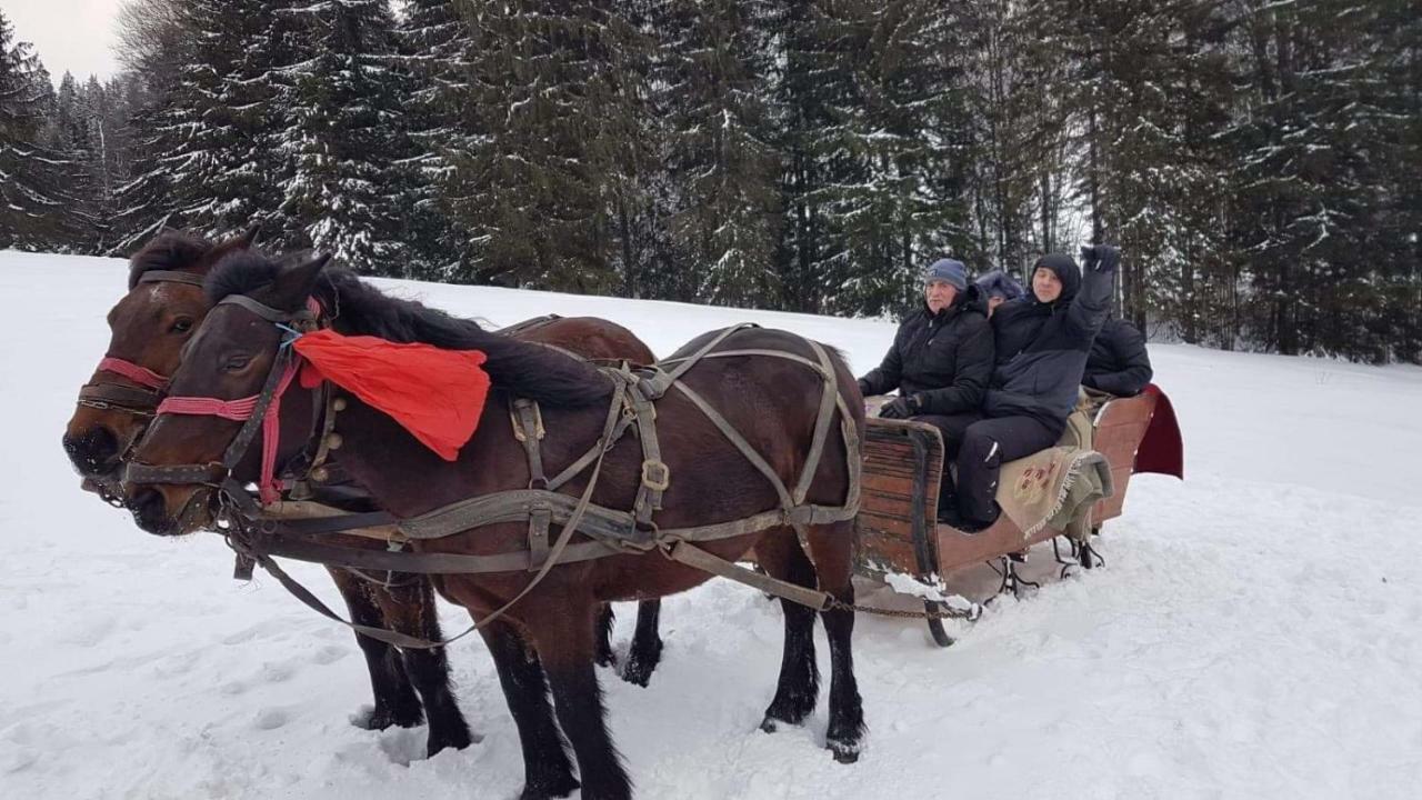 Casa Bradet Konuk evi Întorsura Buzăului Dış mekan fotoğraf